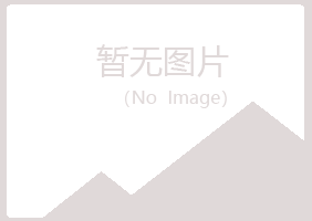 巫山县吵闹材料有限公司